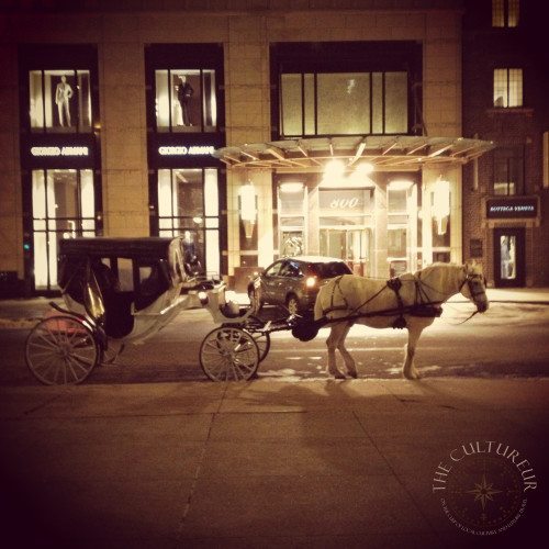 horse and carriage chicago