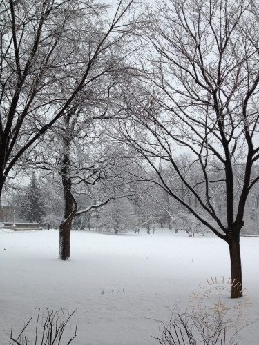 chicago winter wonderland