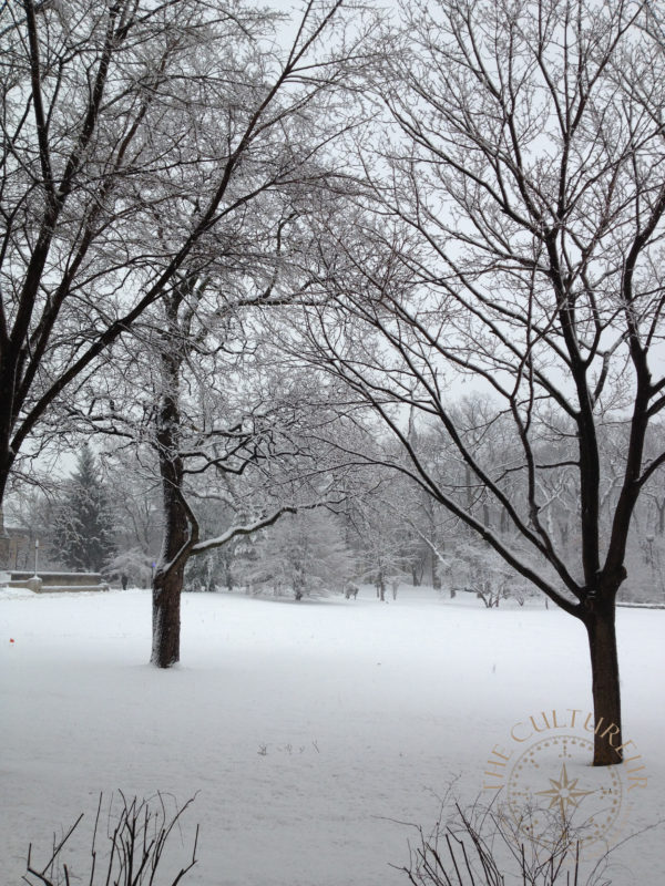 Photo Essay: A Chicago Winter Through the Lens | The Cultureur | For ...