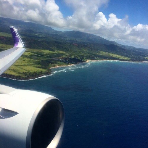 hawaiian airlines