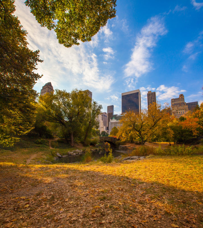 new york city fall cities to visit in the fall