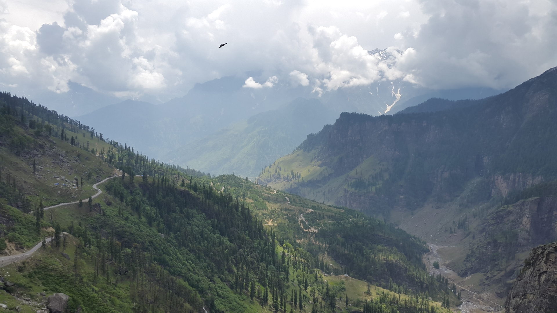 From Leh to Manali: The Perils and Joys of a Himalayan Adventure in India